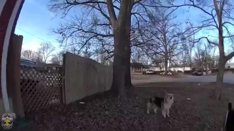 Officers were calling the dog 'Lassie' by the end of the search.