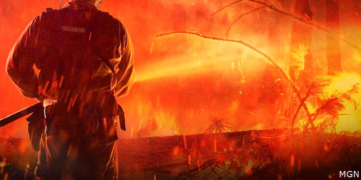 South Rim, Sowbelly, Wright Draw Fire updates
