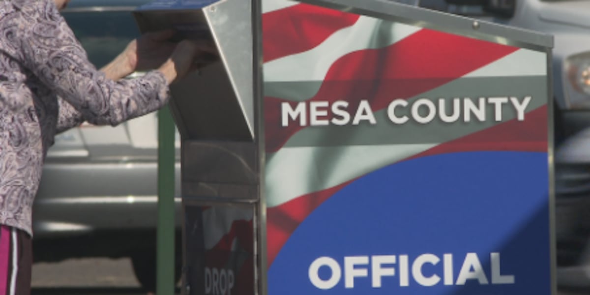 Final unofficial Mesa County election results have been released