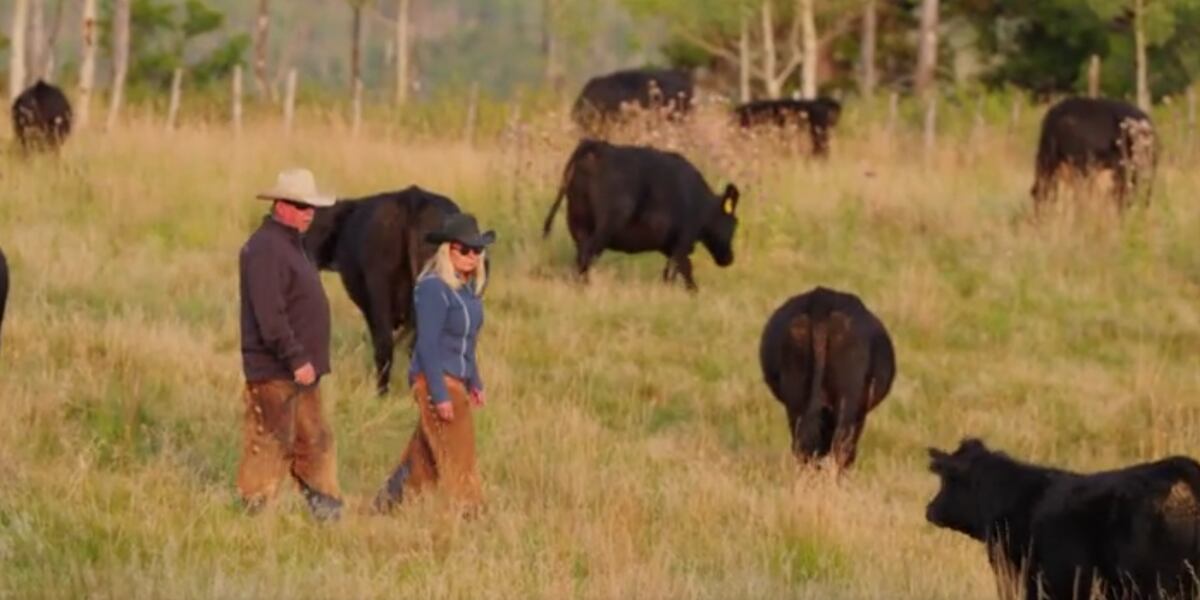 LeValley Ranch recognized as regional winner of 2024 Environmental ...