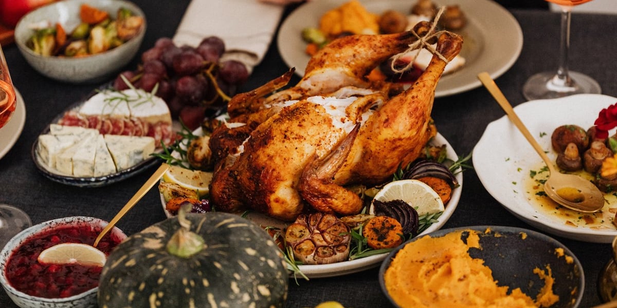 Thanksgiving do's and don'ts for your dog to eat this holiday season - KKCO