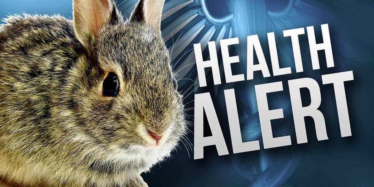 First human case of rabbit fever confirmed in Mesa County