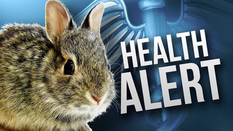 First human case of rabbit fever confirmed in Mesa County