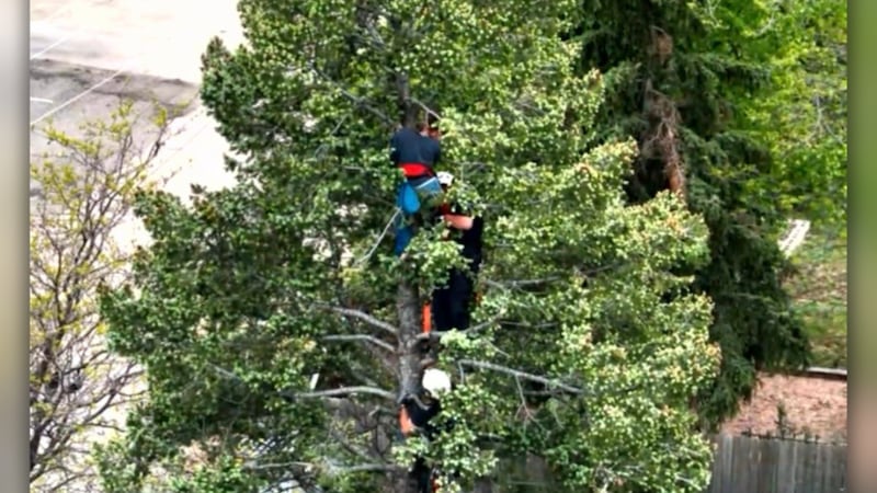 High-angle rescue