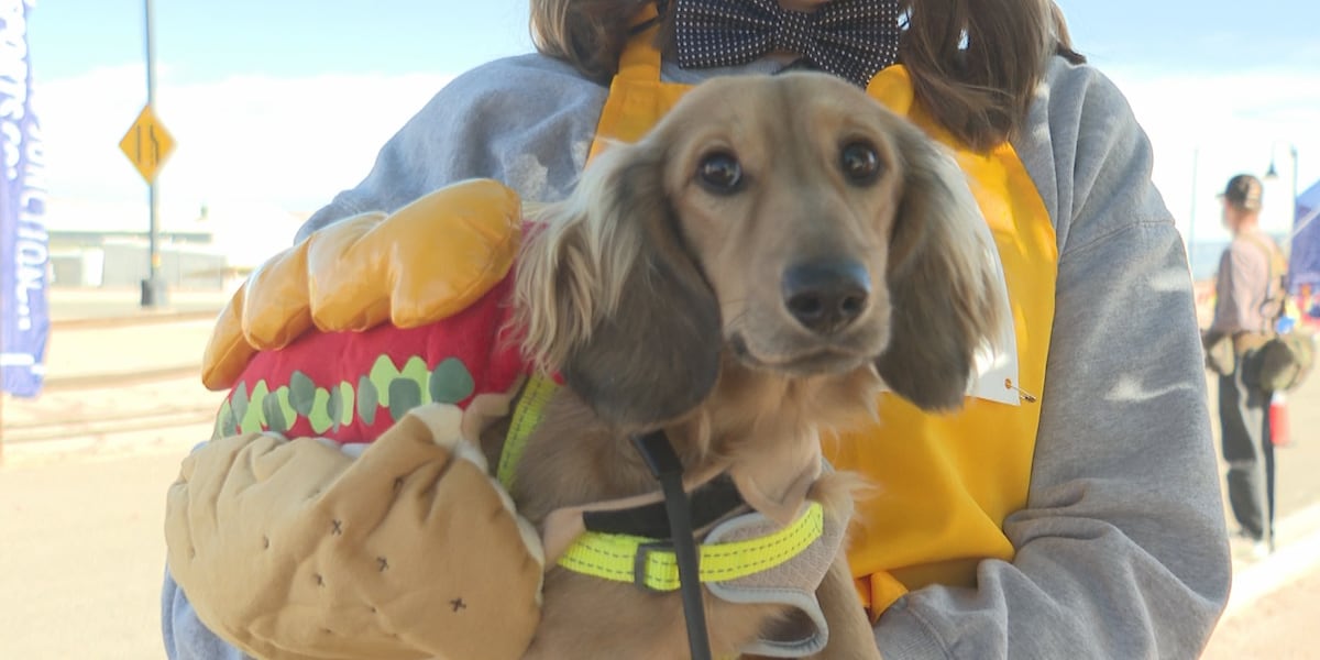 Dogs in costume at Howl-O-Ween Fundraiser